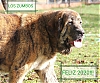Filename=zumbos_2020.jpg
Filesize=326KiB
Dimensions=1440x1206
Date added=%927 %31, %2020 zumbos_2020.jpg