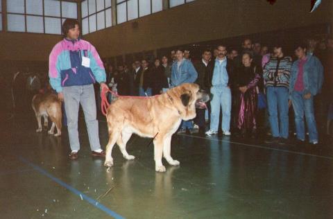 CHOLO de DOMITILO FERNANDEZ, VILLABLINO 92
Keywords: 1992