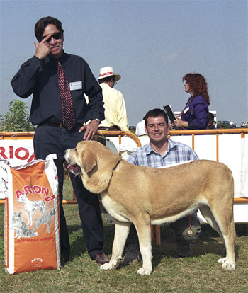 Mastín Español Specialty Show (AEPME) Valencia 04.11.2001
Keywords: 2001