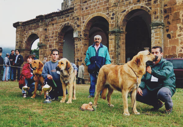 Left: Brandy de Ribayon, Reina del Valle de Santiago & Dorada de los Zumbos - Young Class Females, Virgin de la Velilla 08.08.1999

 
 

Keywords: 1999