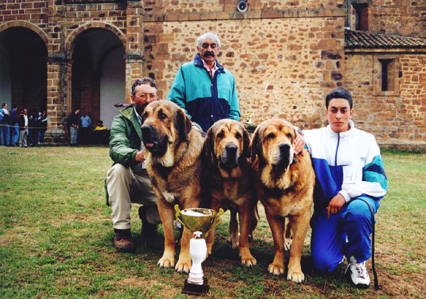 Zarpas, Golba & Sultan - Best Breeding Group/Mejor Grupo Cria - Virgin de la Velilla 08.08.1999
Breeder & owner: Cándido Rodríguez, Leon

Keywords: 1999 vicheriza