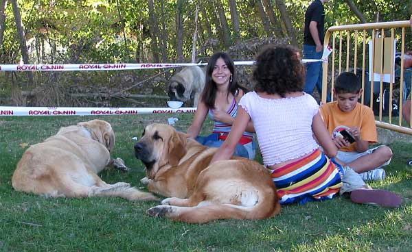 A break at the AEPME Monográfica 2004
