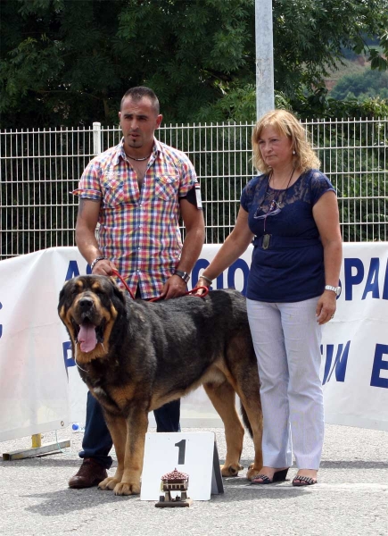 Apolo de los Piscardos: EXC 1 - Best Male - Pola de Siero 16.07.2011
Keywords: 2011 piscardos