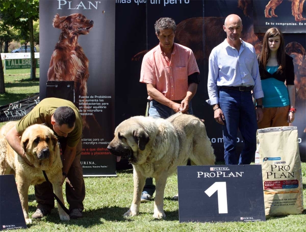 Bimba de Tierra de Órbigo: EXC 2, Pando de Galisancho: EXC 1 - Ring BIS, Veguellina de Órbigo 23.07.2011
Keywords: 2011