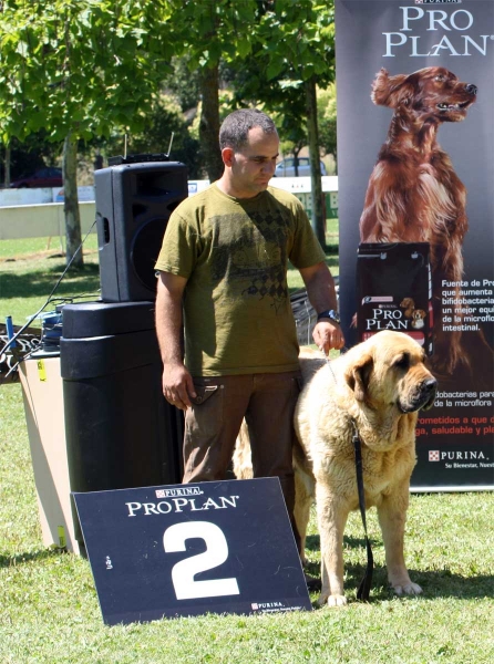 Bimba de Tierra de Órbigo: EXC 2 - Ring BIS, Veguellina de Órbigo 23.07.2011
Keywords: 2011 tierraorbigo