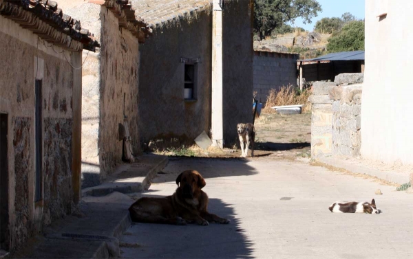 Ávila, Spain  22.09.2013
