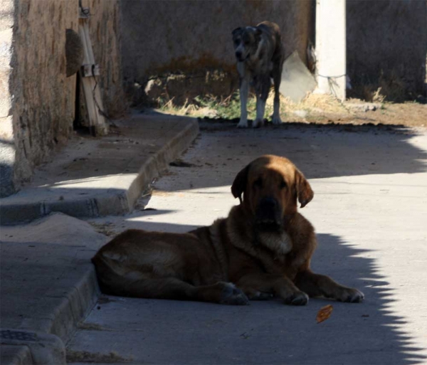 Ávila, Spain 22.09.2013
