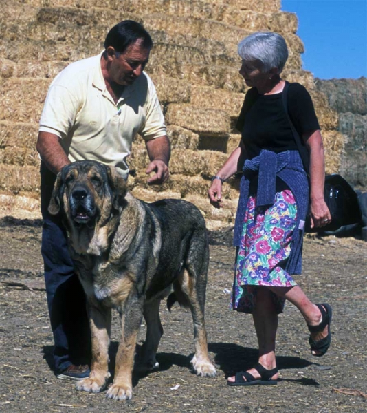 Agustín, Sally and Sultán from Cueto Negro - León 2001
Photo: Jonas Nielsen - © 
Keywords: cuetonegro 2001