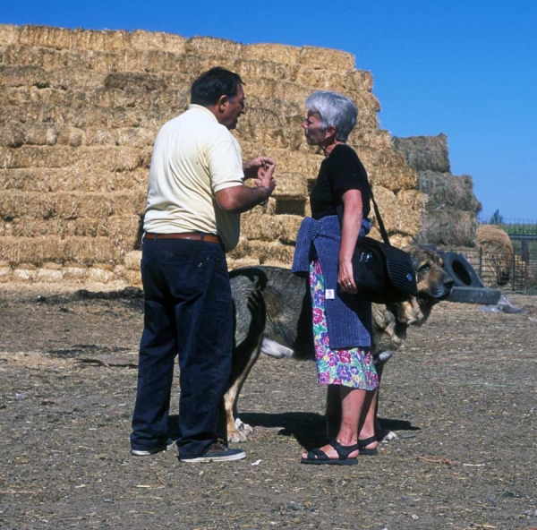 Agustín, Sally and Sultán from Cueto Negro - León 2001
Photo: Jonas Nielsen - © 
Keywords: cuetonegro 2001