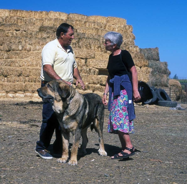 Agustín, Sally and mastín from Cueto Negro - León 2001
Photo: Jonas Nielsen - © 
Keywords: cuetonegro