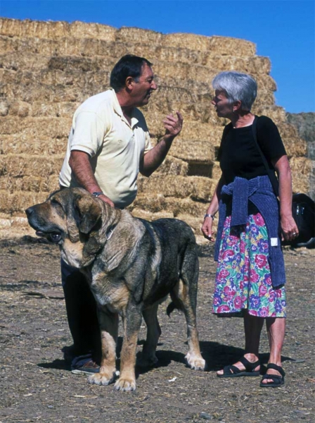 Agustín, Sally and Sultán from Cueto Negro - León 2001
Photo: Jonas Nielsen - © 
Keywords: cuetonegro 2001