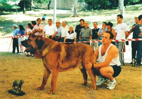 Crono de Ribayon - Best Young Class, La Pola de Gordon 25.07.1999
Keywords: 1999 ribayon