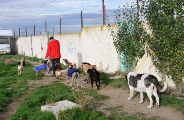 Gabriela - living in the residential Scooby', Valladolid, Spain
