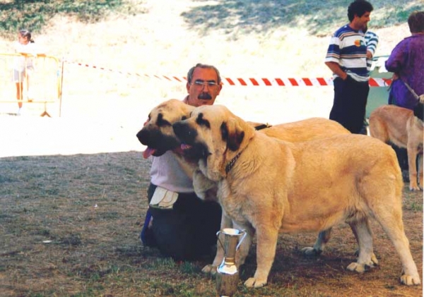 Rocky & Duquesa de Autocan - Best Pair/Mejor Pareja,  La Pola de Gordon 25.07.1999
 

Keywords: 1999 autocan