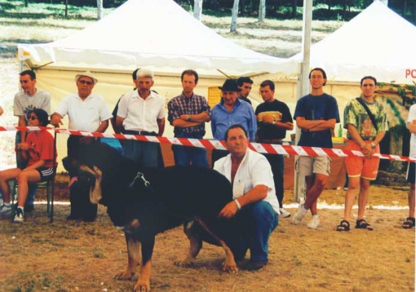 Truman - 2º Champion Class, La Pola de Gordon 25.07.1999


Keywords: 1999 cuetonegro