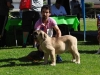 Filename=-MB1ª-MMC_Vega-Toranzo.jpg
Filesize=130KiB
Dimensions=1058x794
Date added=%462 %12, %2014 -MB1ª-MMC_Vega-Toranzo.jpg