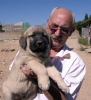 Filename=2909-isidro-puppy.jpg
Filesize=56KiB
Dimensions=732x800
Date added=%655 %29, %2006 2909-isidro-puppy.jpg