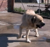 Filename=2946.jpg
Filesize=63KiB
Dimensions=800x753
Date added=%426 %30, %2006 2946.jpg