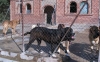 Filename=2947.jpg
Filesize=79KiB
Dimensions=800x499
Date added=%425 %30, %2006 2947.jpg
