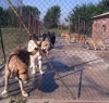 Filename=2948.jpg
Filesize=115KiB
Dimensions=800x762
Date added=%425 %30, %2006 2948.jpg