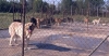 Filename=2949.jpg
Filesize=63KiB
Dimensions=800x423
Date added=%424 %30, %2006 2949.jpg