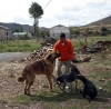 Filename=6628-young-red.jpg
Filesize=190KiB
Dimensions=1200x1178
Date added=%858 %16, %2009 6628-young-red.jpg