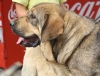 Filename=IMG-4229.jpg
Filesize=99KiB
Dimensions=1200x919
Date added=%549 %05, %2012 IMG-4229.jpg