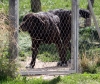 Filename=IMG-6598.jpg
Filesize=155KiB
Dimensions=1000x849
Date added=%665 %05, %2013 IMG-6598.jpg