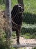 Filename=IMG-6599.jpg
Filesize=173KiB
Dimensions=890x1200
Date added=%666 %05, %2013 IMG-6599.jpg