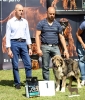 Filename=IMG_2883-ring-mejor-cachorro.jpg
Filesize=152KiB
Dimensions=1027x1200
Date added=%449 %25, %2011 IMG_2883-ring-mejor-cachorro.jpg