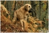 Filename=Navarro1.jpg
Filesize=136KiB
Dimensions=800x538
Date added=%110 %01, %2012 Navarro1.jpg