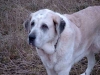 Filename=bizcaya3.jpg
Filesize=19KiB
Dimensions=400x300
Date added=%123 %02, %2006 bizcaya3.jpg