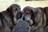 Filename=candido12.jpg
Filesize=24KiB
Dimensions=399x265
Date added=%719 %06, %2006 candido12.jpg