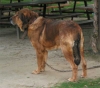 Filename=confimar2.jpg
Filesize=25KiB
Dimensions=600x528
Date added=%522 %13, %2006 confimar2.jpg