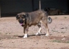 Filename=cuatro10.jpg
Filesize=49KiB
Dimensions=800x571
Date added=%328 %17, %2006 cuatro10.jpg
