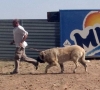 Filename=cuatro17.jpg
Filesize=38KiB
Dimensions=606x549
Date added=%562 %30, %2006 cuatro17.jpg