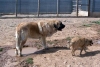 Filename=cuatro8.jpg
Filesize=72KiB
Dimensions=800x543
Date added=%343 %17, %2006 cuatro8.jpg