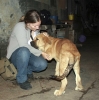 manu-y-puppy-a.jpg