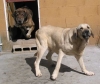 Filename=mork-og-lys.jpg
Filesize=31KiB
Dimensions=600x505
Date added=%526 %13, %2006 mork-og-lys.jpg