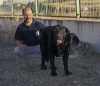 Filename=paco-carbonero.jpg
Filesize=38KiB
Dimensions=600x520
Date added=%867 %13, %2006 paco-carbonero.jpg