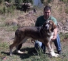 Filename=puppy2~0.jpg
Filesize=121KiB
Dimensions=800x727
Date added=%415 %30, %2006 puppy2~0.jpg
