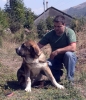 Filename=puppy3~0.jpg
Filesize=97KiB
Dimensions=688x800
Date added=%415 %30, %2006 puppy3~0.jpg