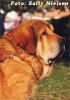 Filename=sultan2.jpg
Filesize=18KiB
Dimensions=141x200
Date added=%714 %06, %2006 sultan2.jpg