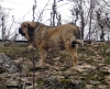 Filename=yeza.jpg
Filesize=201KiB
Dimensions=1499x1226
Date added=%779 %22, %2011 yeza.jpg