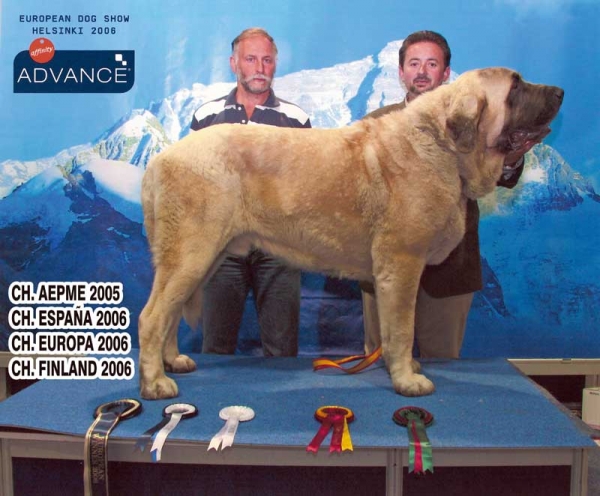 SANSON CAC, CACIB, BOB, CH. EUROPA & CH. FINLAND - Eurodog Show 2006
Keywords: baolamadera