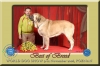 Filename=173_BOB.jpg
Filesize=67KiB
Dimensions=1000x667
Date added=%492 %16, %2006 173_BOB.jpg