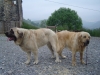 Filename=BAOLAMADERA_871.jpg
Filesize=146KiB
Dimensions=640x480
Date added=%556 %16, %2006 BAOLAMADERA_871.jpg