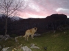 Filename=RON_BAOLAMADERA.jpg
Filesize=150KiB
Dimensions=640x480
Date added=%417 %14, %2006 RON_BAOLAMADERA.jpg