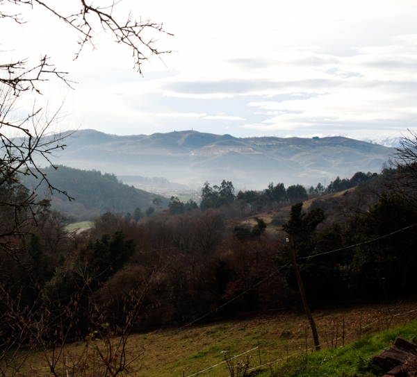 Abarrio, Asturias, Spain december 2010
Keywords: abarrio