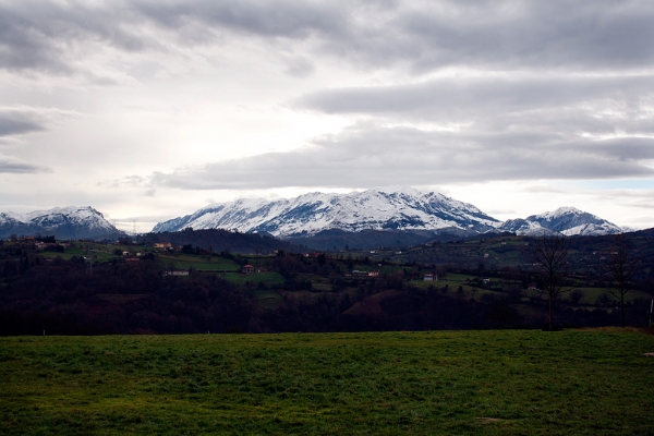 Afijo Torrestio, Asturias, Spain december 2010
Keywords: torrestio